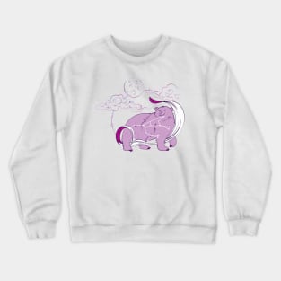 Ursa Major Crewneck Sweatshirt